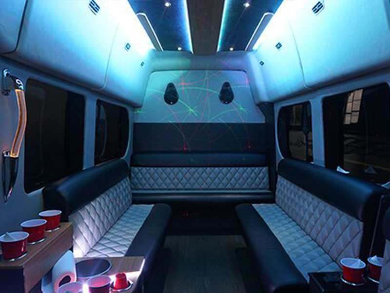 10-passenger party van