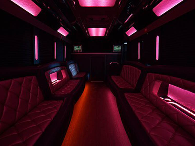 28-passenger party bus